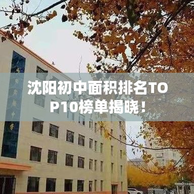 沈阳初中面积排名TOP10榜单揭晓！