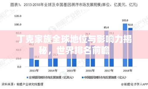 丁克家族全球地位与影响力揭秘，世界排名前瞻