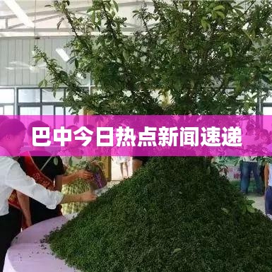 巴中今日热点新闻速递