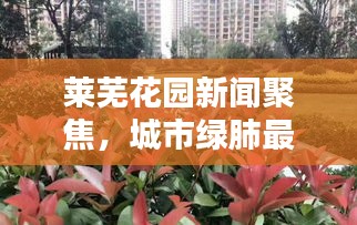 莱芜花园新闻聚焦，城市绿肺最新动态报道