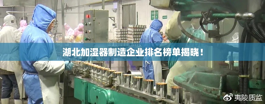 湖北加湿器制造企业排名榜单揭晓！