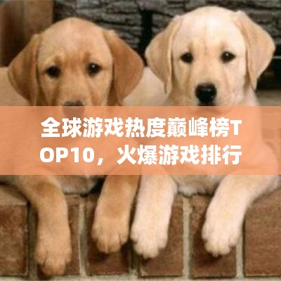 全球游戏热度巅峰榜TOP10，火爆游戏排行榜