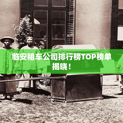 临安租车公司排行榜TOP榜单揭晓！