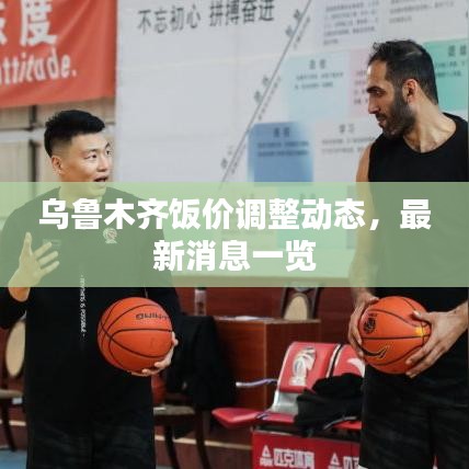 乌鲁木齐饭价调整动态，最新消息一览