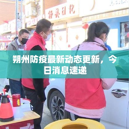 朔州防疫最新动态更新，今日消息速递