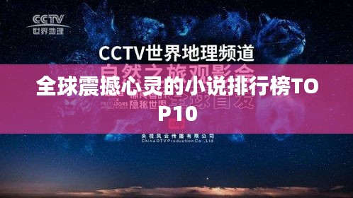 全球震撼心灵的小说排行榜TOP10