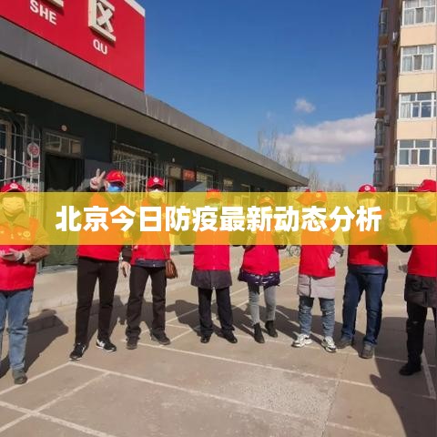 北京今日防疫最新动态分析