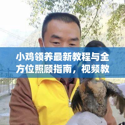 小鸡领养最新教程与全方位照顾指南，视频教你如何精心呵护小鸡成长！