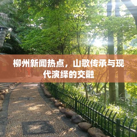 柳州新闻热点，山歌传承与现代演绎的交融
