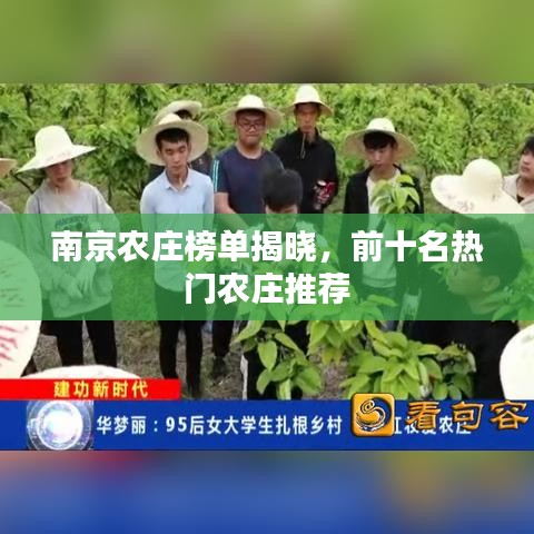南京农庄榜单揭晓，前十名热门农庄推荐