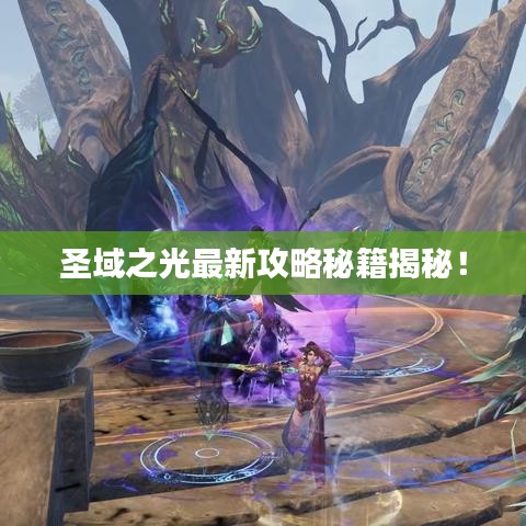 圣域之光最新攻略秘籍揭秘！