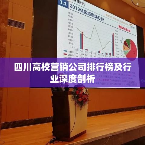 四川高校营销公司排行榜及行业深度剖析