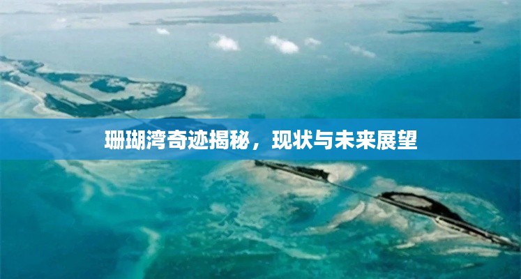 珊瑚湾奇迹揭秘，现状与未来展望