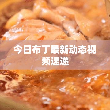 今日布丁最新动态视频速递