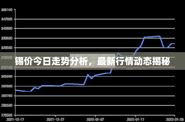锡价今日走势分析，最新行情动态揭秘
