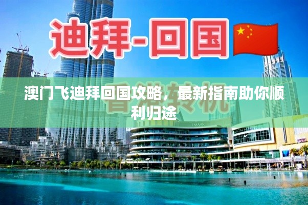 澳门飞迪拜回国攻略，最新指南助你顺利归途