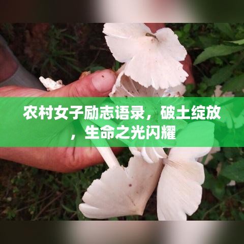 农村女子励志语录，破土绽放，生命之光闪耀