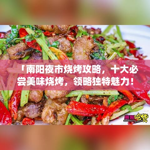 「南阳夜市烧烤攻略，十大必尝美味烧烤，领略独特魅力！」