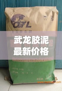 武龙胶泥最新价格大揭秘！
