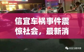 信宜车祸事件震惊社会，最新消息引发关注热潮