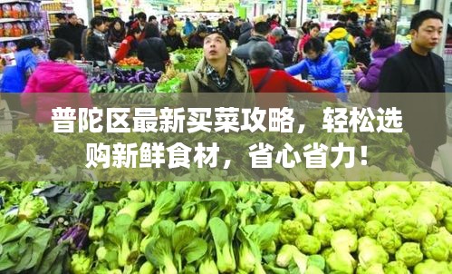 普陀区最新买菜攻略，轻松选购新鲜食材，省心省力！