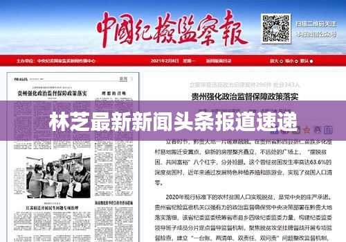 林芝最新新闻头条报道速递