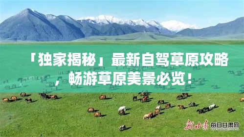 「独家揭秘」最新自驾草原攻略，畅游草原美景必览！