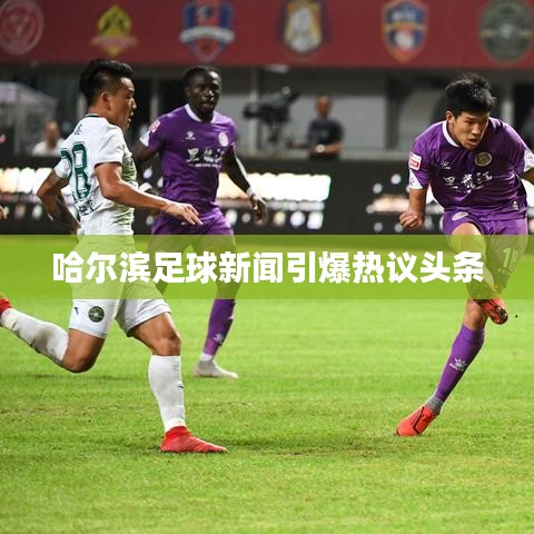 哈尔滨足球新闻引爆热议头条