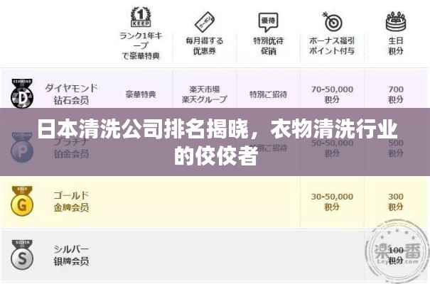 日本清洗公司排名揭晓，衣物清洗行业的佼佼者