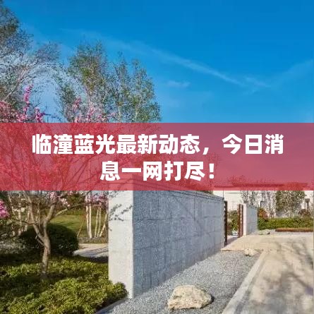 临潼蓝光最新动态，今日消息一网打尽！