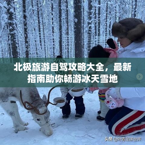 北极旅游自驾攻略大全，最新指南助你畅游冰天雪地