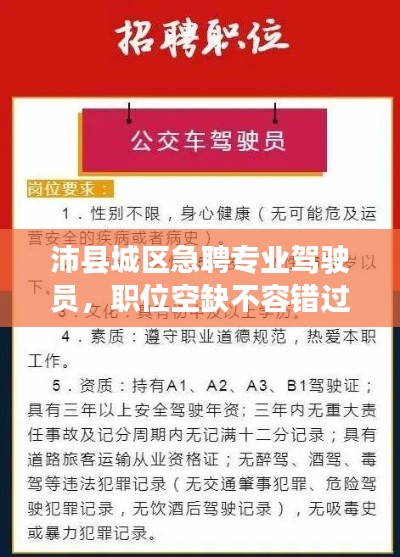 沛县城区急聘专业驾驶员，职位空缺不容错过！