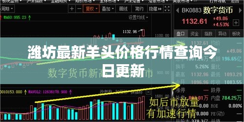潍坊最新羊头价格行情查询今日更新