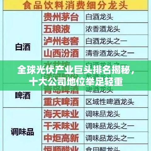 全球光伏产业巨头排名揭秘，十大公司地位举足轻重