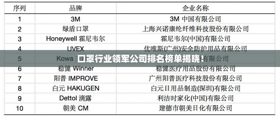 口罩行业领军公司排名榜单揭晓！