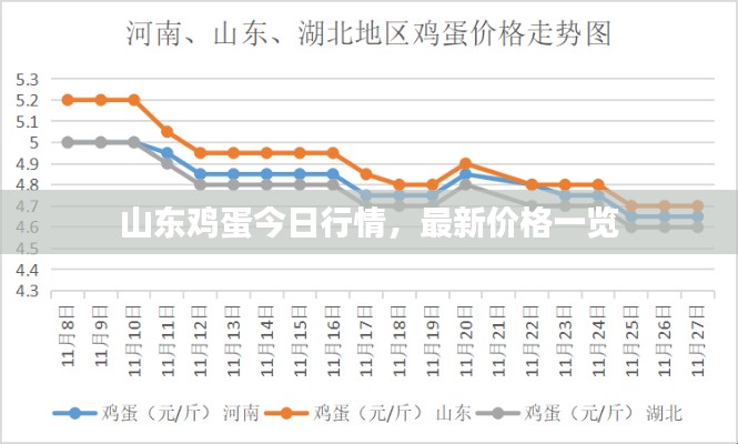 山东鸡蛋今日行情，最新价格一览