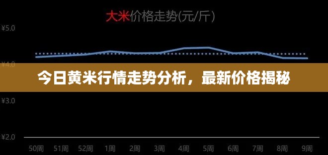 今日黄米行情走势分析，最新价格揭秘