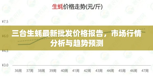 三台生蚝最新批发价格报告，市场行情分析与趋势预测