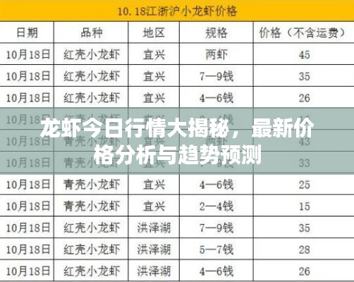 龙虾今日行情大揭秘，最新价格分析与趋势预测