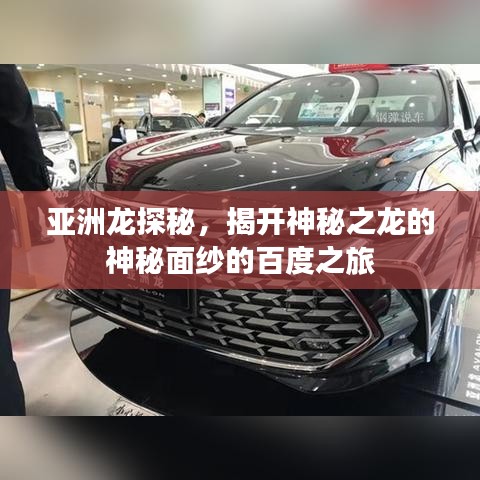 亚洲龙探秘，揭开神秘之龙的神秘面纱的百度之旅
