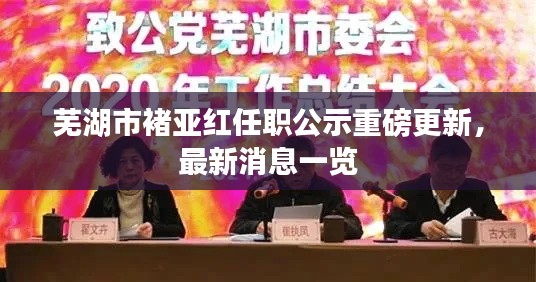 芜湖市褚亚红任职公示重磅更新，最新消息一览