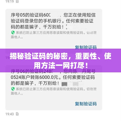 揭秘验证码的秘密，重要性、使用方法一网打尽！