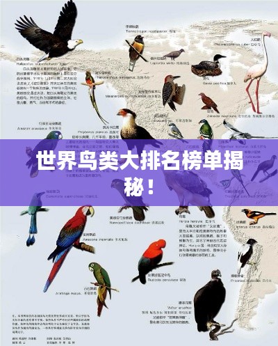 世界鸟类大排名榜单揭秘！