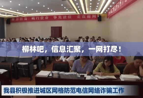 柳林吧，信息汇聚，一网打尽！