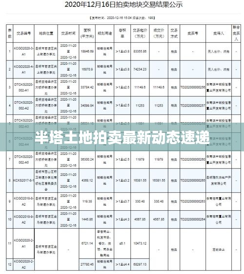 半塔土地拍卖最新动态速递