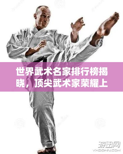 世界武术名家排行榜揭晓，顶尖武术家荣耀上榜