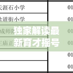 独家解读最新育才摇号政策出炉，家长必看！