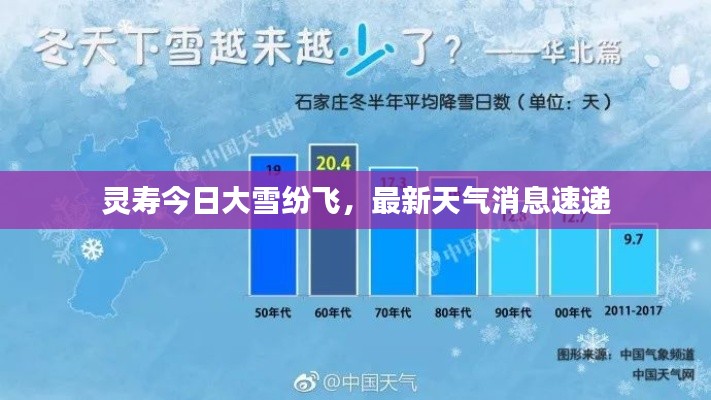 灵寿今日大雪纷飞，最新天气消息速递