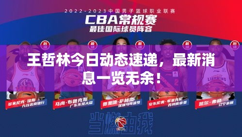王哲林今日动态速递，最新消息一览无余！
