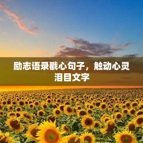 励志语录戳心句子，触动心灵泪目文字
